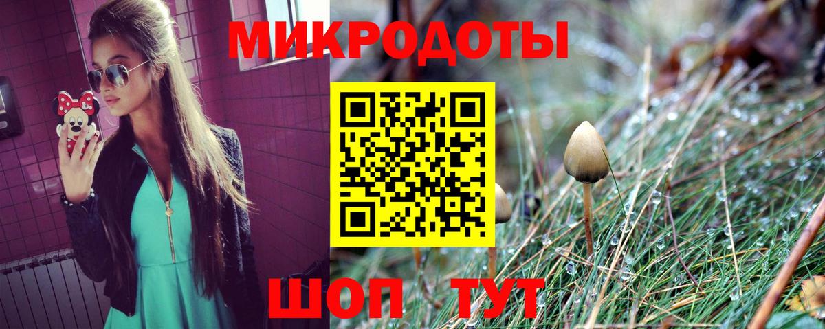 Псилоцибиновые грибы Psilocybine cubensis  Вход с VPN  Карасук  Псилоцибиновые грибы мухоморы 