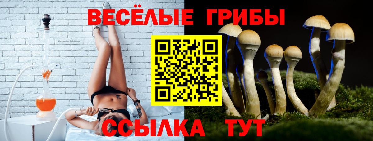 Псилоцибиновые грибы мухоморы Карасук